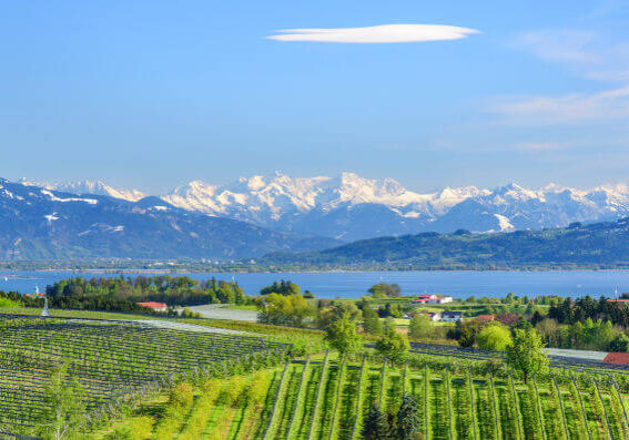Bodensee_159615588 Obstbau-Landschaft am Bodensee mit Blick auf den See und die verschneite Alpenkette.