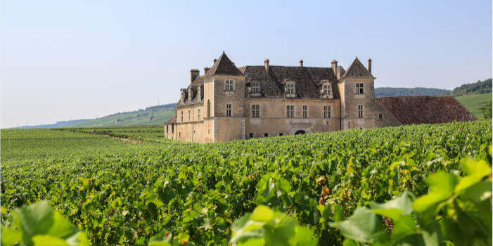Schloss Clos de Vougeot inmitten von Weinbergen im Burgund, Frankreich, an einem klaren Sommertag.