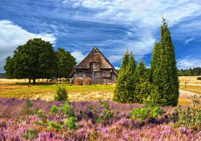 Busreisen Niedersachsen, Busreisen in die Lueneburger Heide.