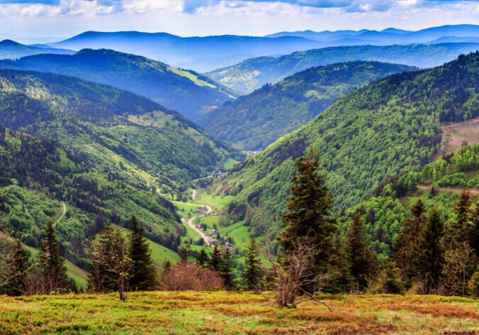 Busreisen-Schwarzwald Busreisen Schwarzwald. Malerische Berglandschaft. Blick auf den Schwarzwald in Deutschland, bedeckt mit Nebel.