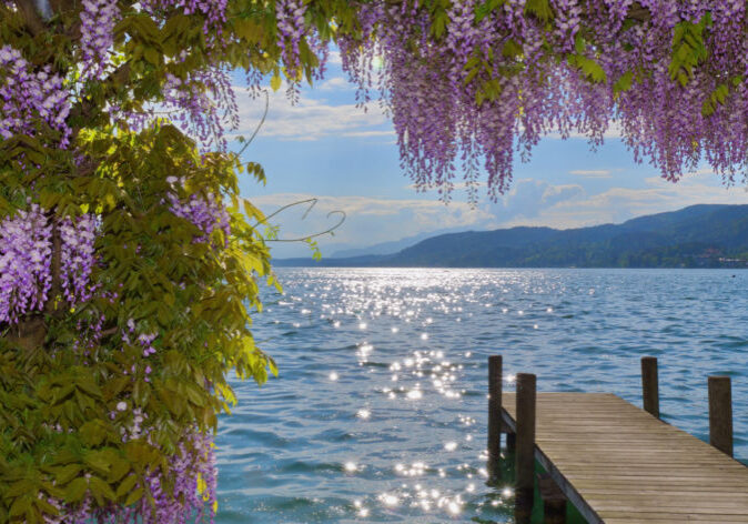 Busreisen-Woerthersee-carinthian Busreise am Wörthersee mit Blick auf die malerische Landschaft und das klare Wasser.