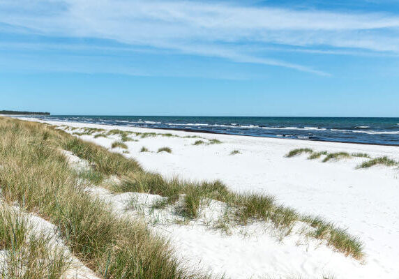 Weißer Sandstrand von Dueodde mit Dünengras und Blick auf das Meer, Bornholm, Dänemark, an einem sonnigen Tag.