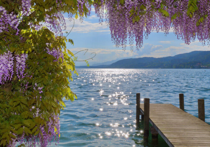 Reisen-Woerthersee Busreisen und Reisen zum Woerthersee.