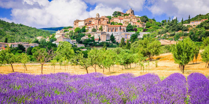Lavendelfeld vor dem Hügeldorf Simiane-la-Rotonde in der Provence, Frankreich, an einem sonnigen Tag mit blühender Landschaft.