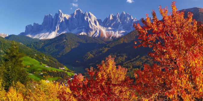 Suedtirol Herbst Suedtirol im Herbst zur Weinlese.