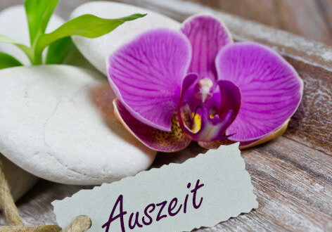Wellness-Reisen-circle Wellness Reisen