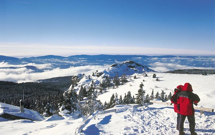 Bayerischer Wald