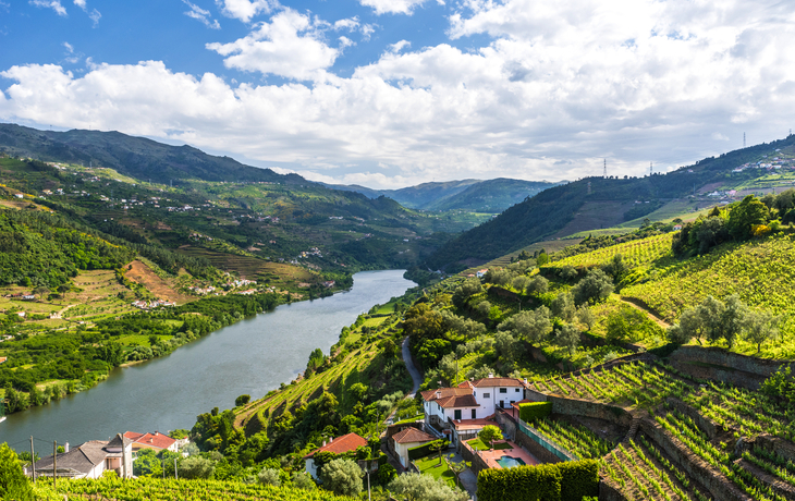 Douro-Tal