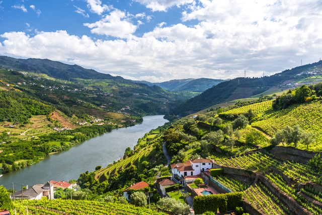 Douro-Tal