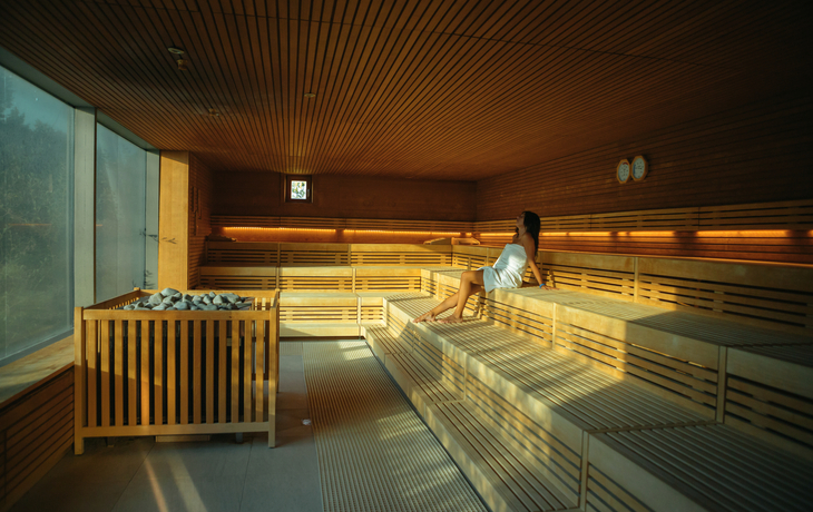 Panoramasauna