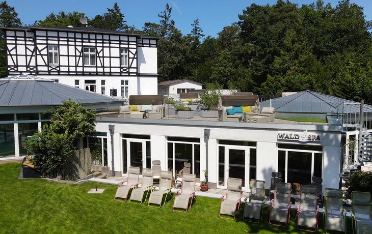 Gartenseite mit Liegestühlen