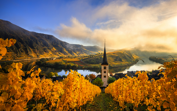 Mosel / Moselschleife