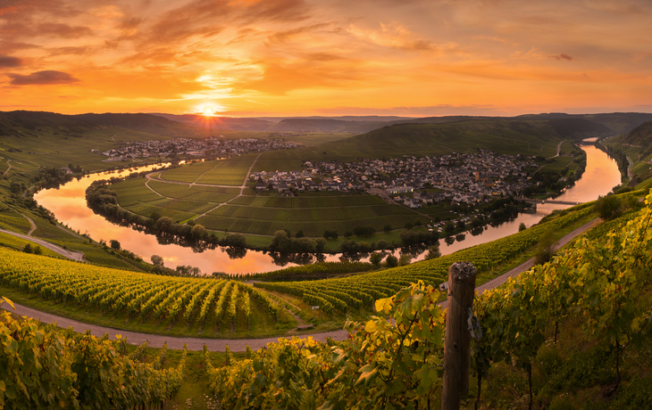Mosel