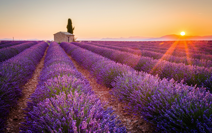 Provence