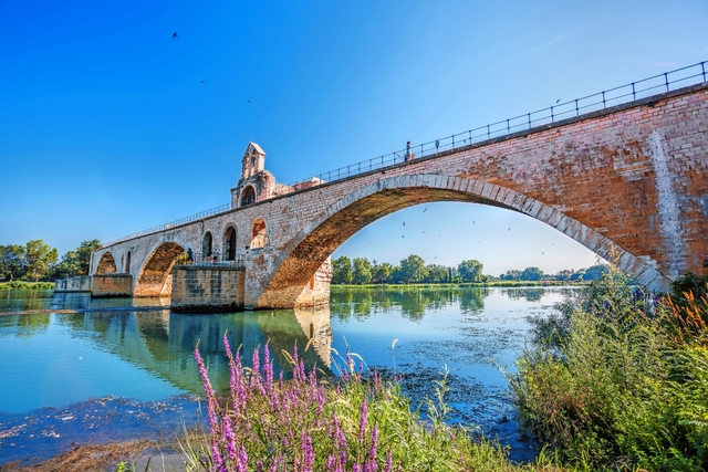 Avignon