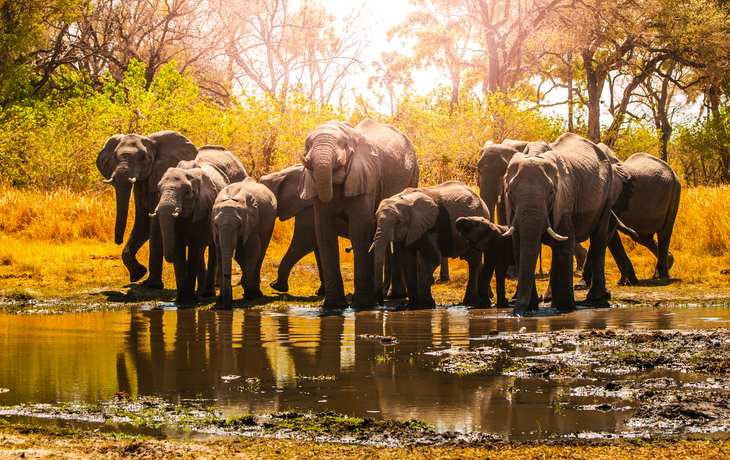 Etosha Nationalpark