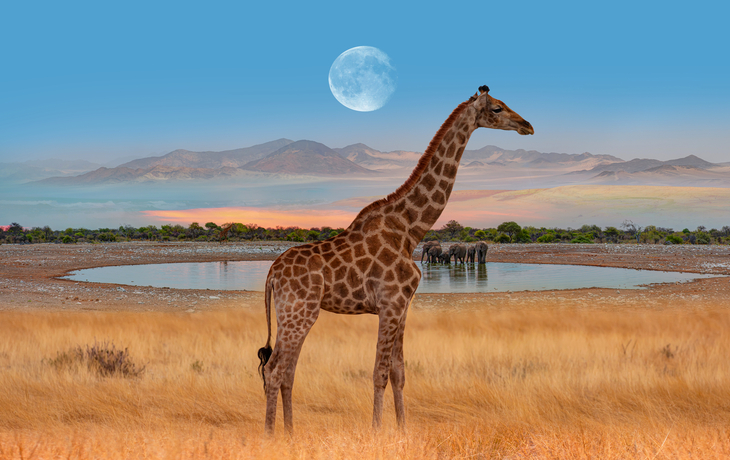 Etosha National Park