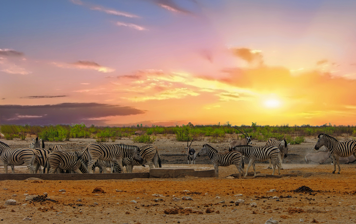 Etosha National Park