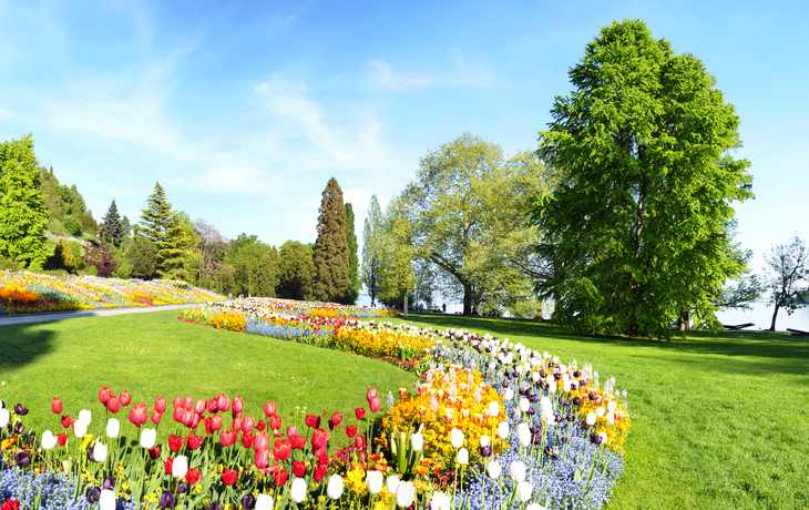 Insel Mainau