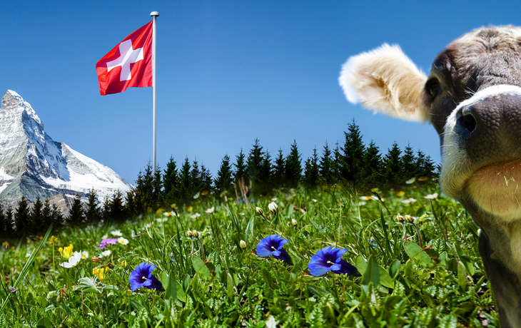 Matterhorn mit Kuh und Schweizer Flagge