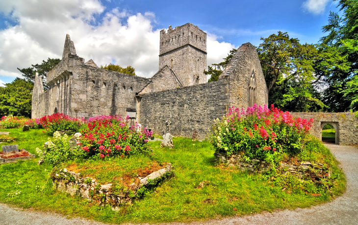 Muckross Abbey