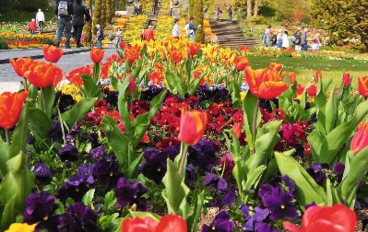 Blumeninsel Mainau