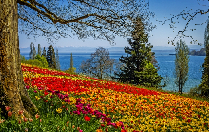 Blumeninsel Mainau