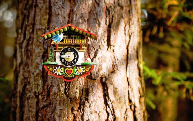 Kuckucksuhr im Wald
