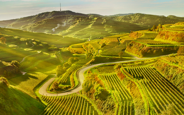Herbst am Kaiserstuhl