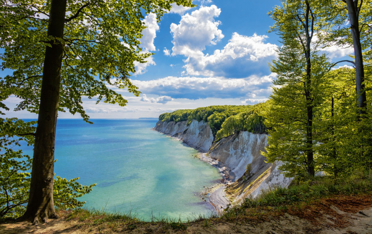 Blick vom Königsstuhl