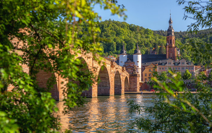 Heidelberg, Alte Brücke