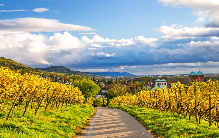 Hessische Bergstraße