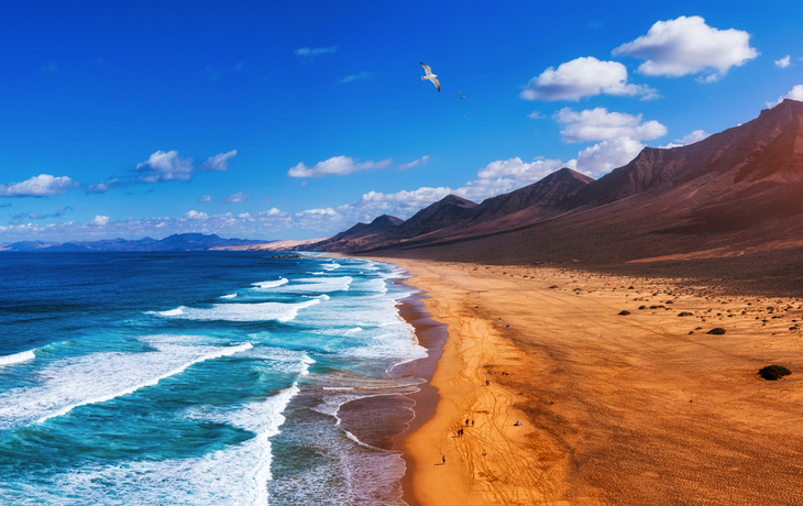Fuerteventura