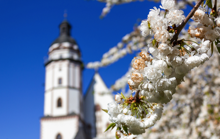 Leipziger Thomaskirche
