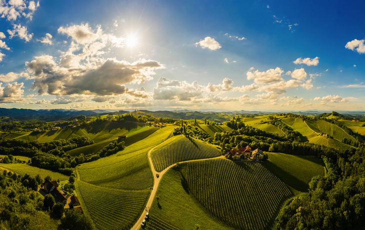 Steiermark, Weinberge