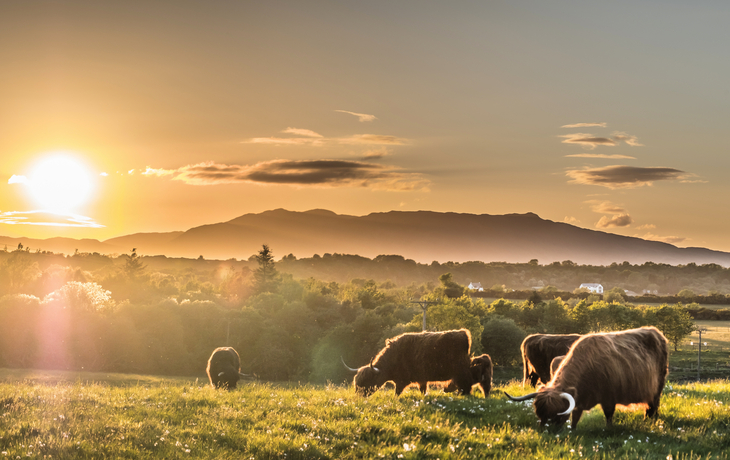 Schottische Highlands