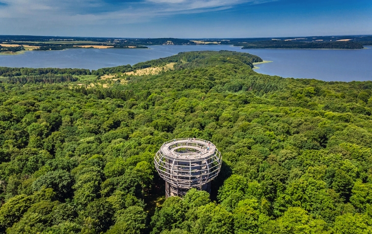 Baumwipfelpfad Rügen