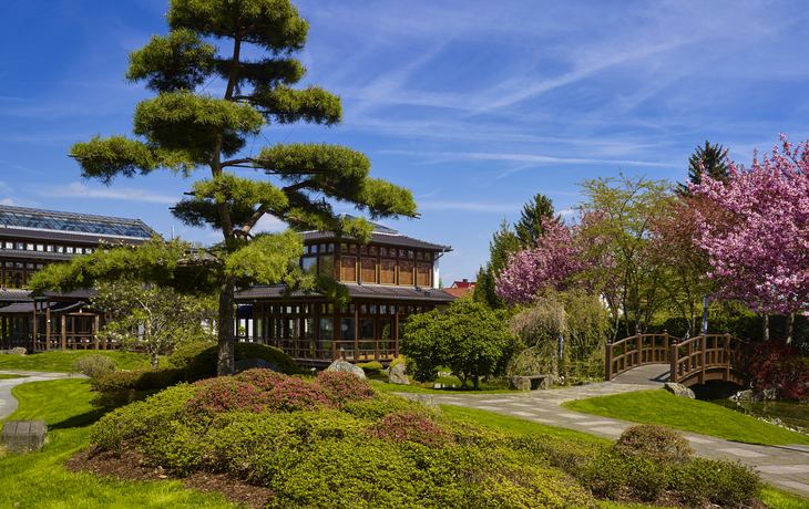 Bad Langensalza, Japanischer Garten