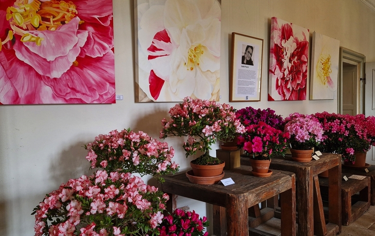 Zuschendorf, Kamelienschloss