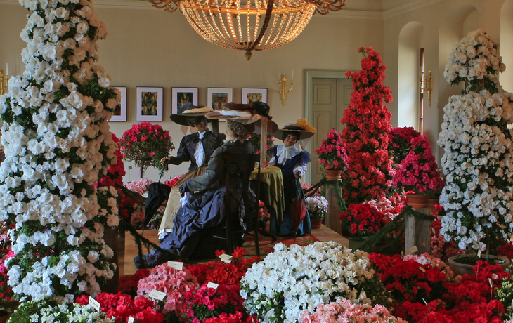 Zuschendorf, Kamelienschau