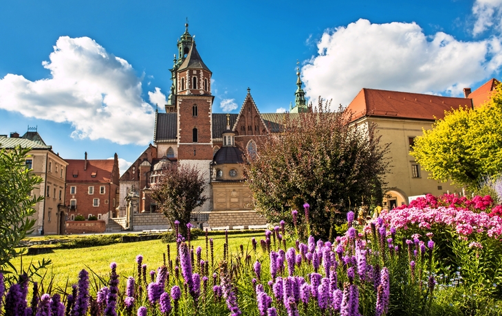 Wawel-Kathedrale in Krakau, Polen
