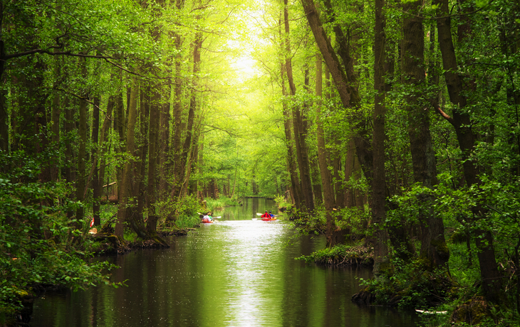 Spreewald