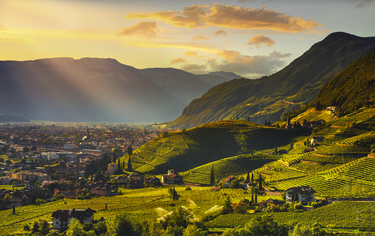 Bozen, Weinberge