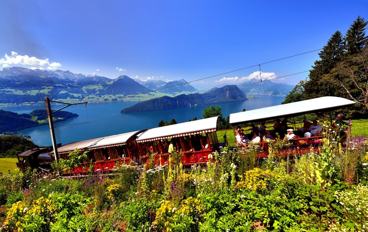 Rigi-Dampfbahn mit Vierwaldstättersee