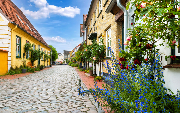 Schleswig, Fischersiedlung Holm