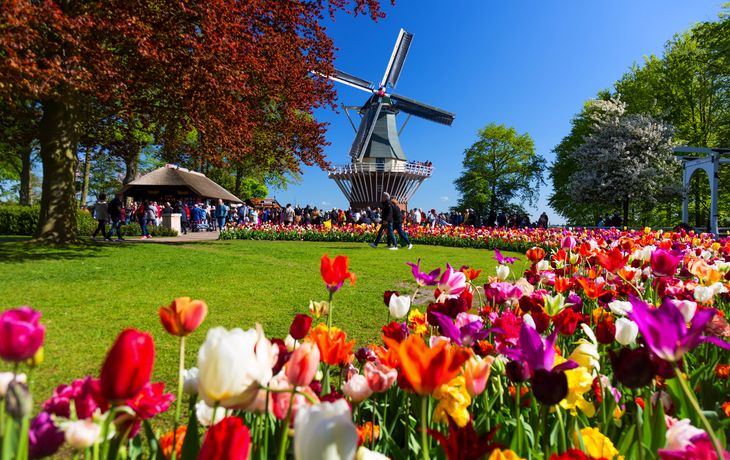 Keukenhof