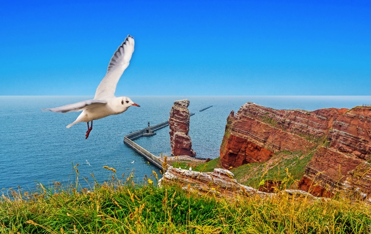 Helgoland
