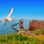 Helgoland
