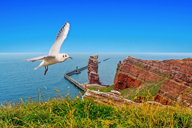 Helgoland