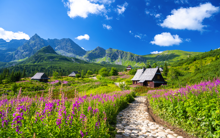 Tatra-Gebirge nahe Zakopane